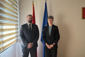 Butorović i Paniklova razgovarali o mogućnostima za uspostavljanje...