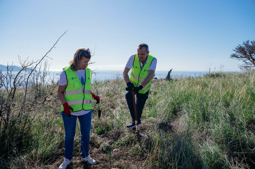 <p><em>Pored akcija sadnje, projekat će i ove godine uključiti edukativne aktivnosti sa djecom i mladima o očuvanju šuma i prevenciji požara, nastavljajući program koji okuplja veliki broj učenika i volontera širom zemlje.</em></p>