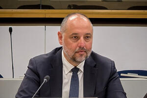 Vitomirović: Crna Gora u potpunosti posvećena ispunjavanju svih...