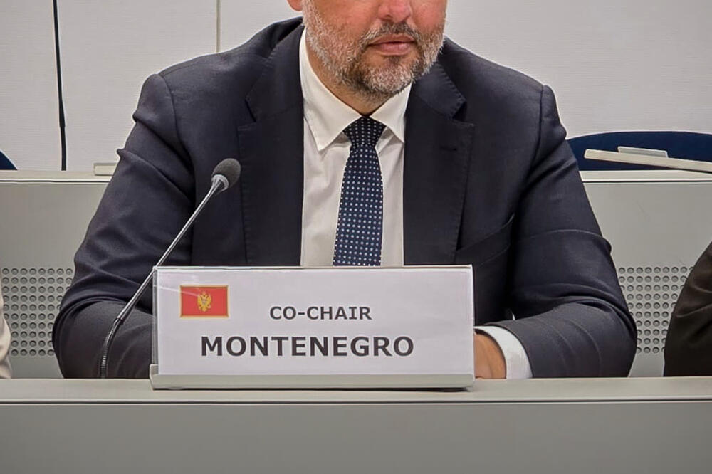 Nenad Vitomirović, Foto: MERS