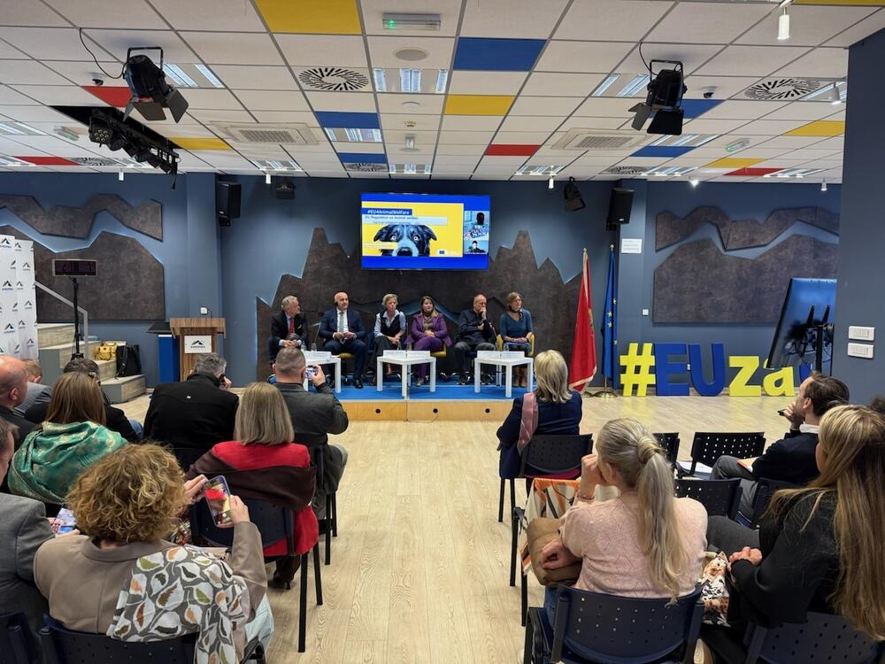 Turisti s ljubimcima zaobilaze Crnu Goru