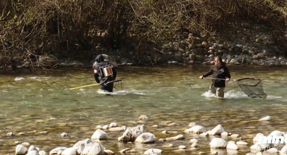 Stanje ribljeg fonda u Cijevni loše, još nema čuvarske službe