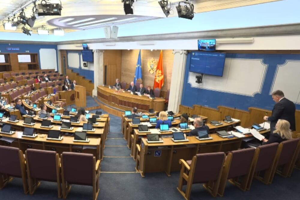 Sa sjednice Skupštine, Foto: Screenshot/Youtube/Skupština Crne Gore