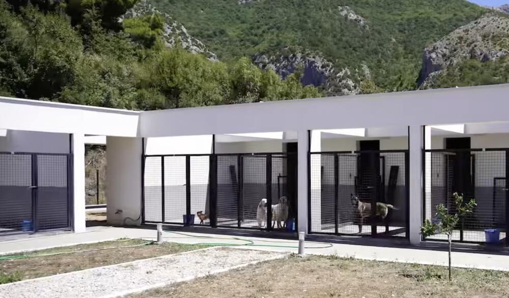 Park i plaža za pse, kazne za nelegalne: Opština Bar napravila...