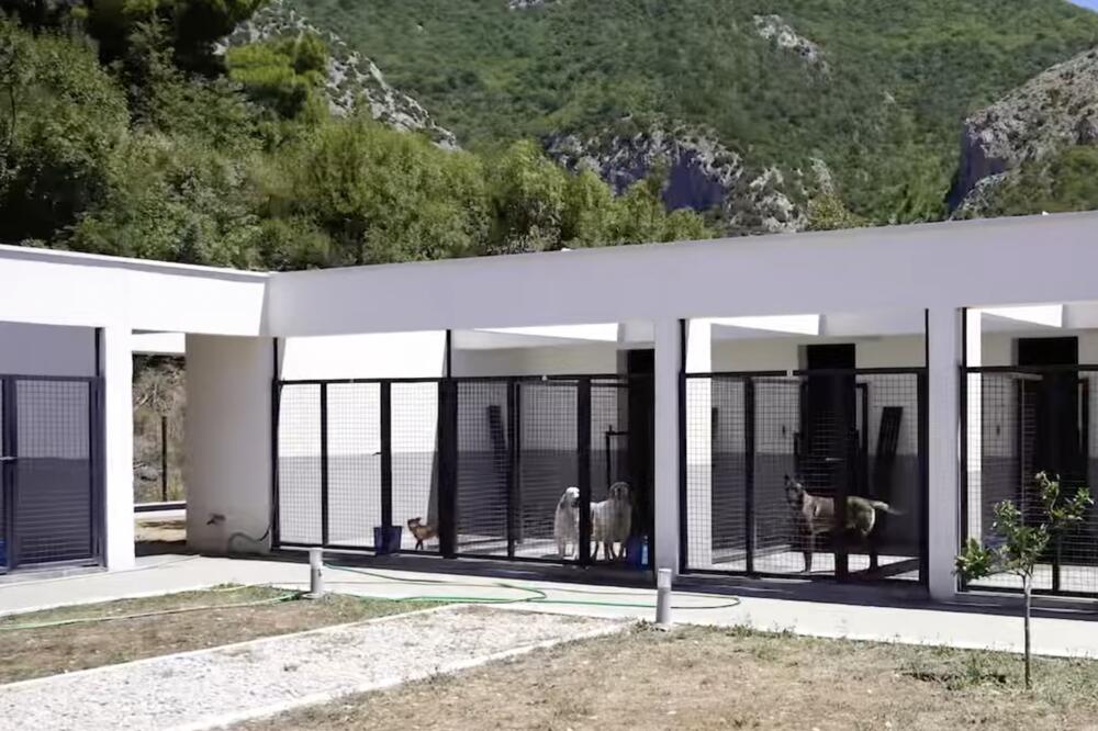 Azil za pse u Baru, Foto: Opština (screenshot)