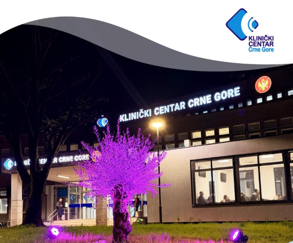 KCCG: Maslina zdravlja u ljubičastoj boji u znak podrške osobama...