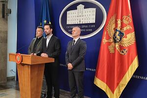 Zirojević: Usvajanje Zakona o unutrašnjim poslovima izazvalo...