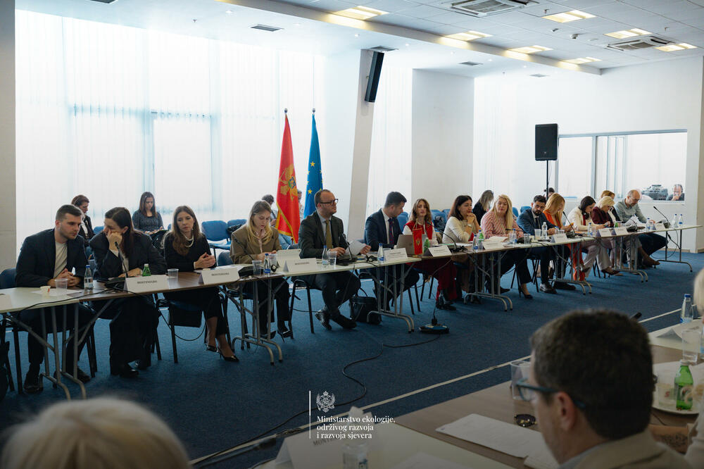 Sa Odbora za stabilizaciju i pridruživanje između Crne Gore i EU, Foto: MERS