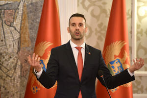 Spajić: Uvijek je bolje imati ministra i ministarstvo u punom...