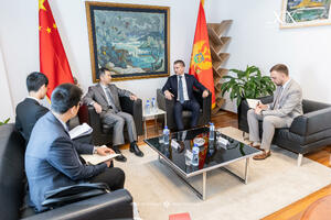 Bečić: Izgrađujemo sistem jakih institucija, gdje nadležne za...