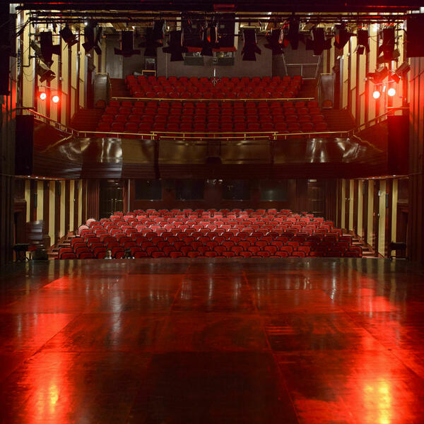 Svjetski dan pozorišta u Crnoj Gori: Između sistema i nezavisne...