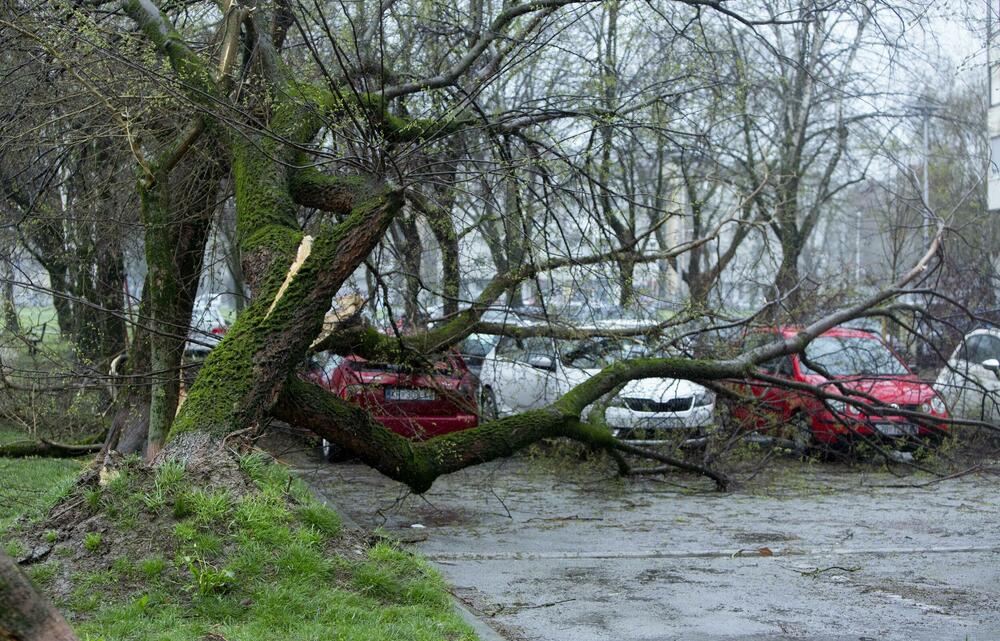 <p>Među ostalim, oštećen je i krov na Košarkaškom centru Dražen Petrović, kao i dio nadstrešnice iznad hitnog bolničkog prijama Kliničkog bolničkog centra Zagreb, ali nije bilo povrijeđenih.</p>