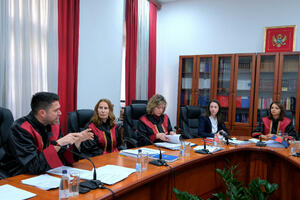 Otkud državi ljudska prava: Zaštitnik imovinsko-pravnih interesa...