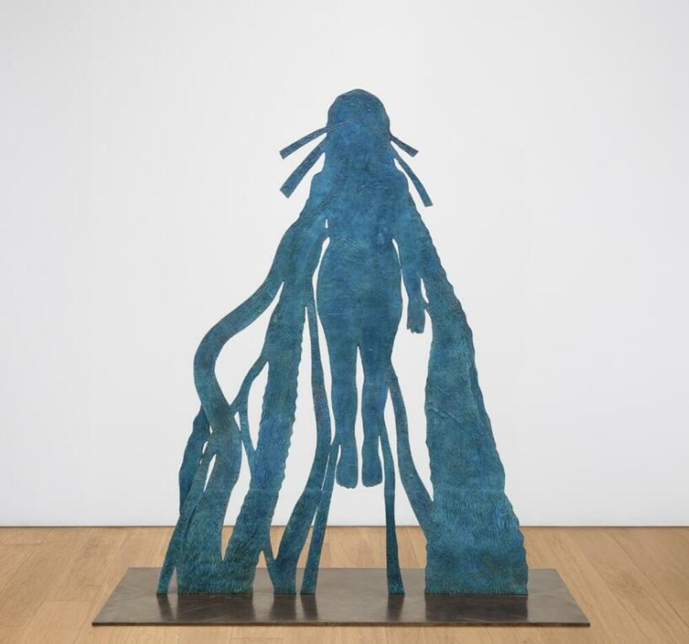 Digitalni autor je kraj subjekta