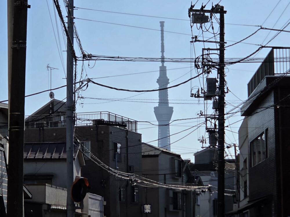 Jelena Vojinović Japan