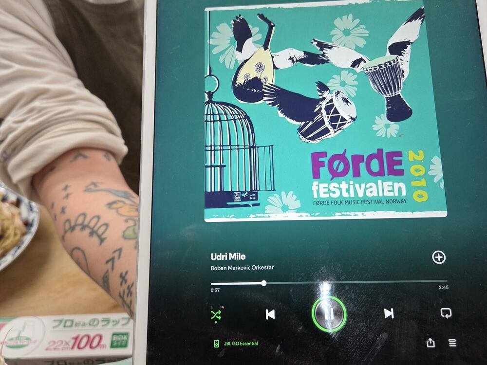 Jelena Vojinović Japan