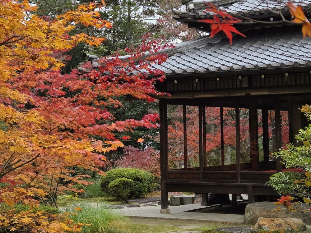 Jesen u Japanu: o prazninama, pragovima i prolaznim ljepotama