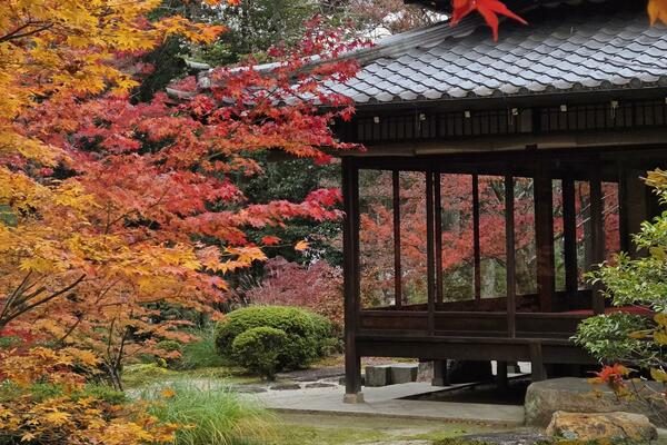 Jesen u Japanu: o prazninama, pragovima i prolaznim ljepotama