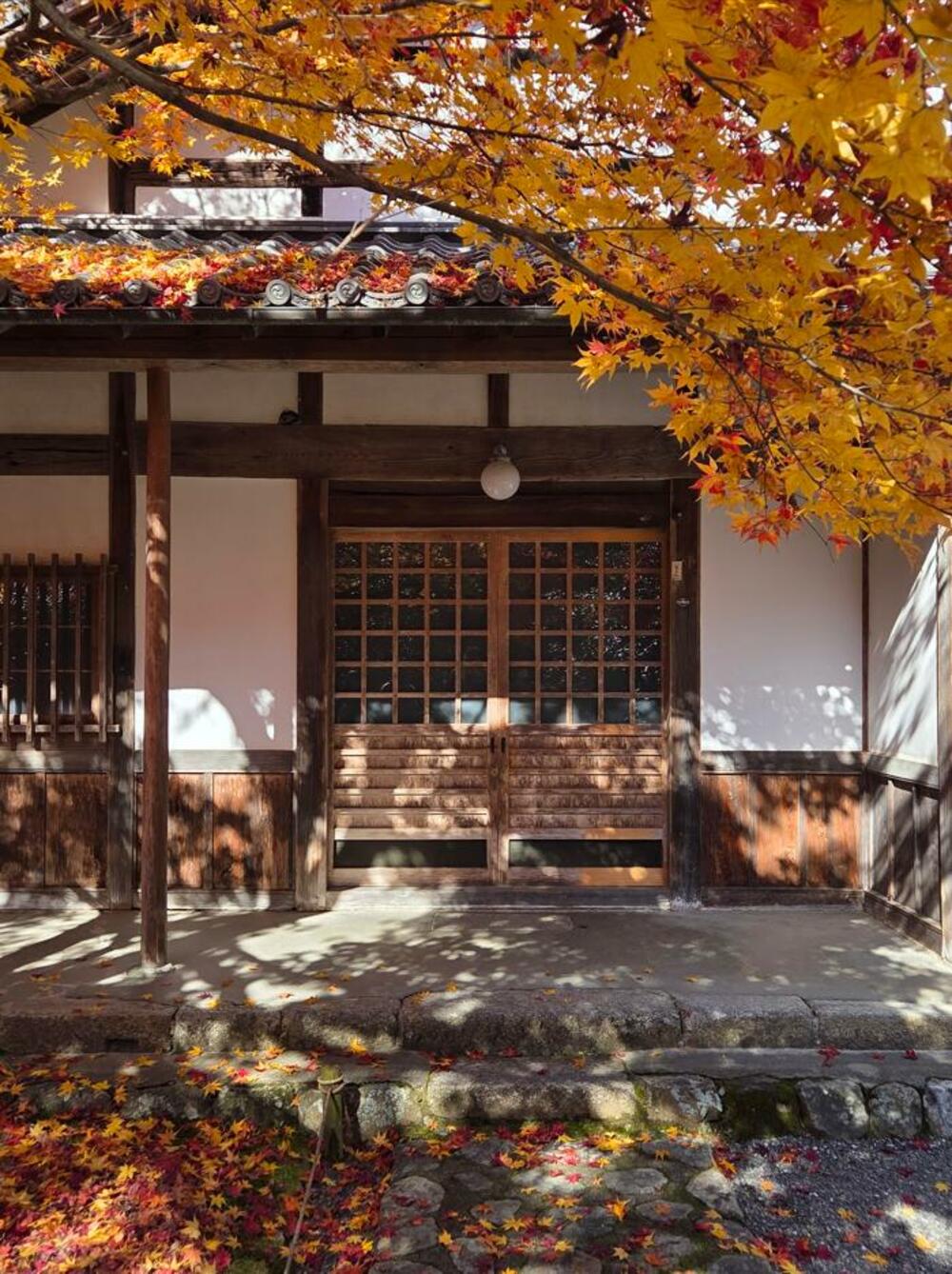 Jelena Vojinović Japan