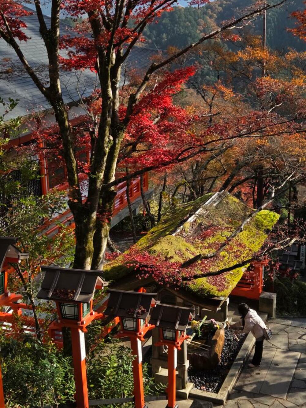 Jelena Vojinović Japan