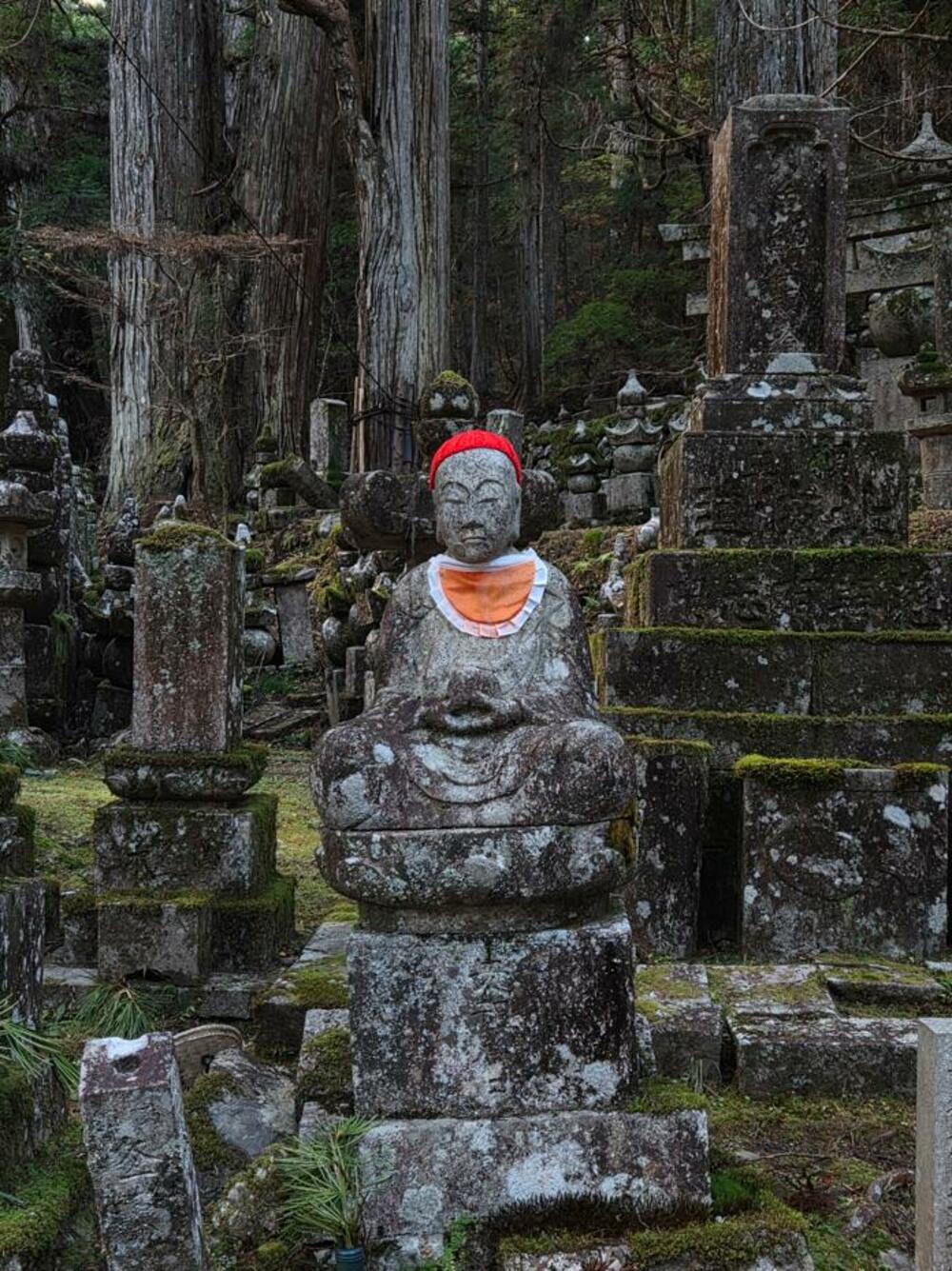 Jelena Vojinović Japan