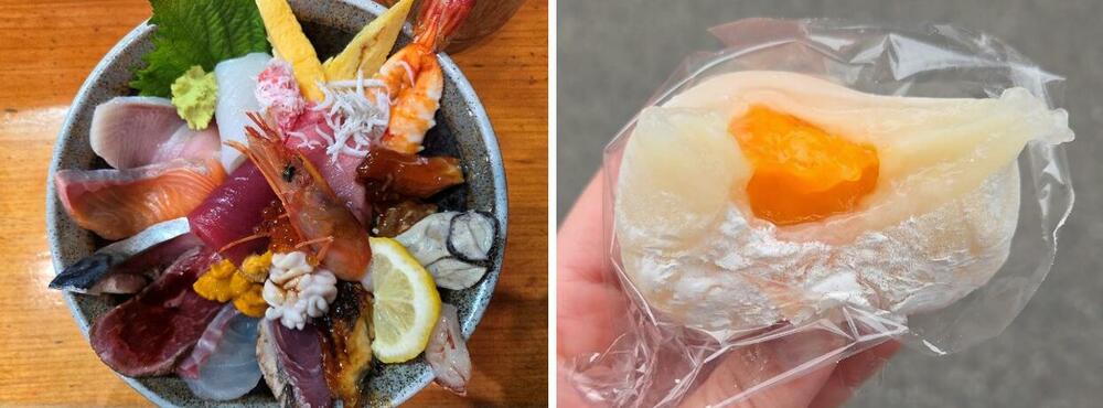 Jelena Vojinović Japan