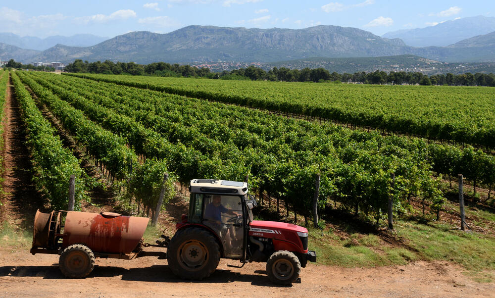 Kiša i snijeg, a mraz prijeti: Vrijeme ne ide naruku poljoprivredi