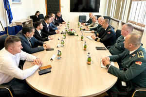 Kovačević - Vuksanović: Istaknut značaj jačanja institucionalne...