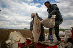 Traže da vlada ublaži energetski udar na biznis