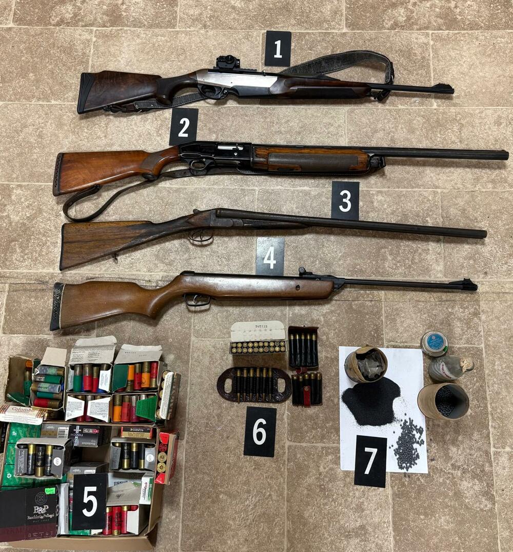 Policija u Ulcinju oduzela četiri puške, municija i eksploziv...