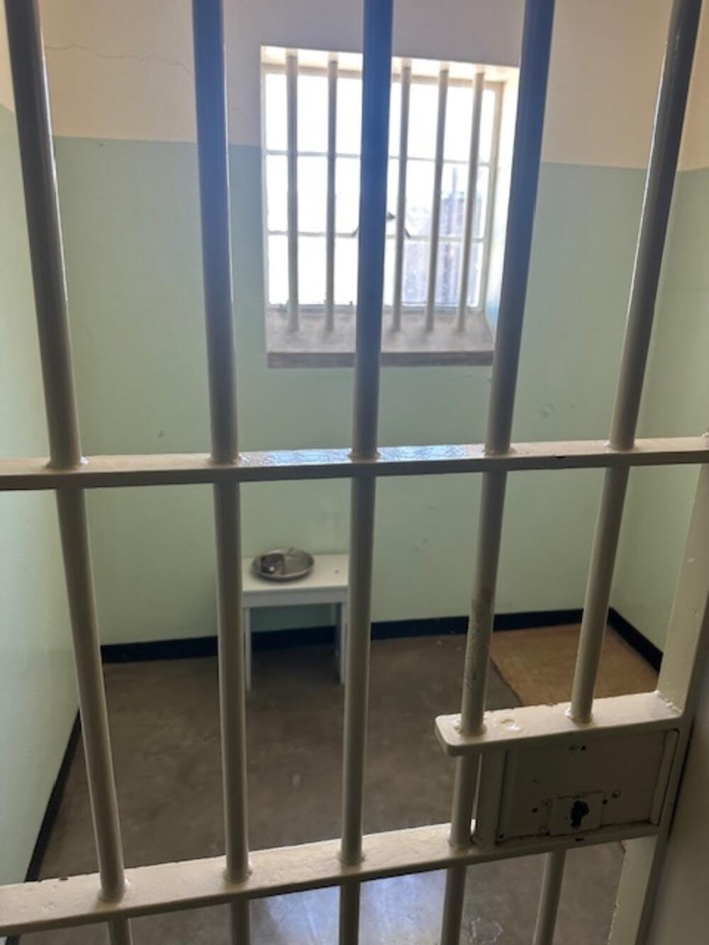 Mandelina ćelija na Roben ajlandu