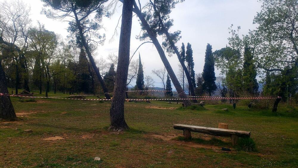 Agencija: Postoji opasnost od obrušavanja velikih stabala na brdu...