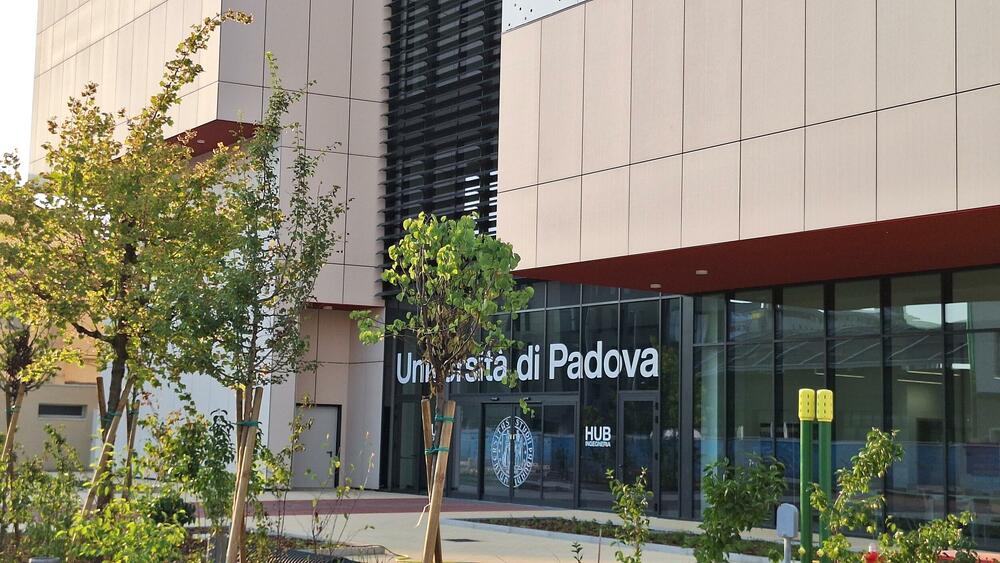 Do 25.000 eura, bez obaveze povratka: Crna Gora dodijelila 32...