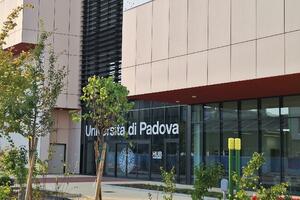 Do 25.000 eura, bez obaveze povratka: Crna Gora dodijelila 32...