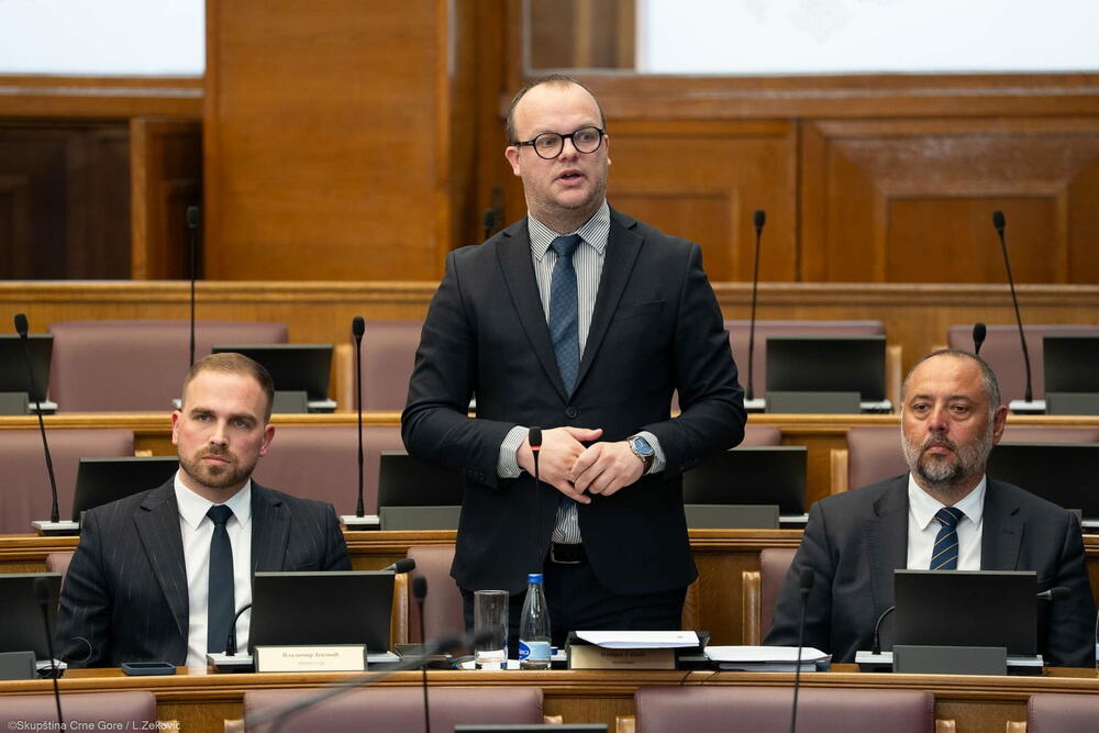 Ćulafić: Ekološki kriminal opustošio budžet Crne Gore za tri...