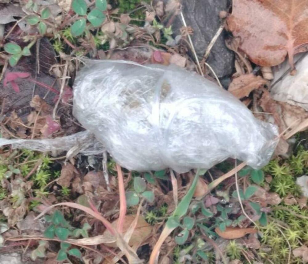 Krivična prijava protiv trojice maloljetnika: Bacili marihuanu...