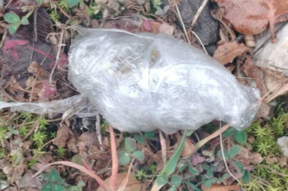 Foto: Uprava policije