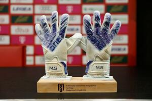 Drugi Memorijal "Matija Šarkić": Festival sporta koji će da bude...