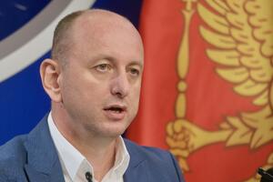 Knežević: Inicijativa za povlačenje odluke o priznanju...