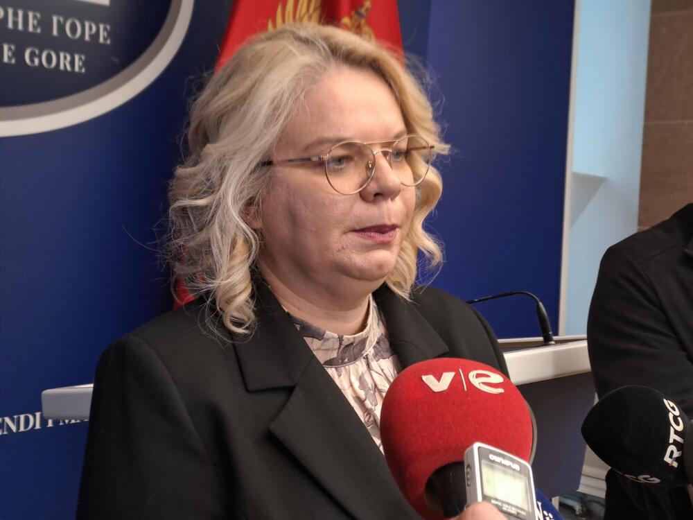 Vukićević: I dalje sam protiv koncesije nad Aerodromima Crne Gore