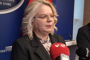 Vukićević: I dalje sam protiv koncesije nad Aerodromima Crne Gore