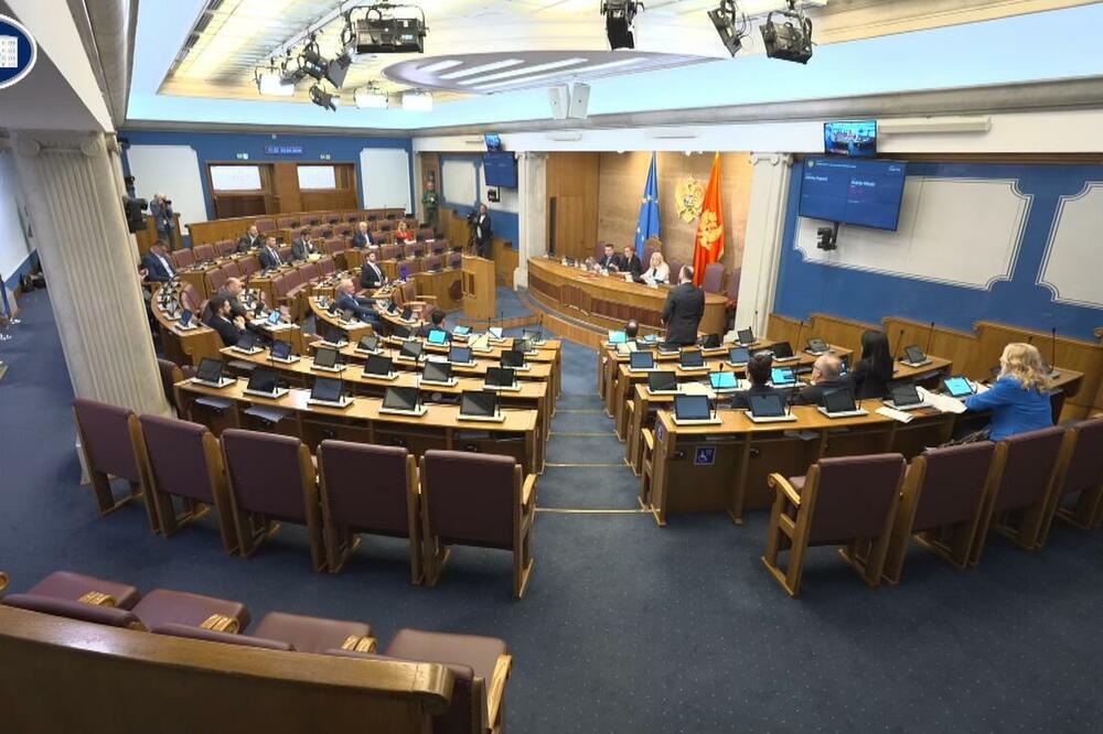 Detalj s današnje sjednice parlamenta, Foto: Printscreen/Youtube