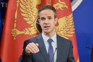 Mugoša: Povećati broj socijalno-ljekarskih komisija i utvrditi...