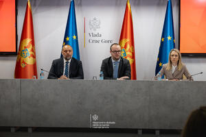 Ćulafić: Svjetska banka odobrila kredit od 40 miliona eura za...