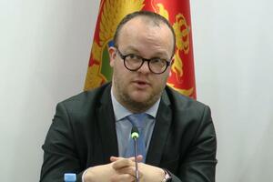 Ćulafić: Pejzaž u Boki se ne smije narušavati, posebno ne gradnjom...