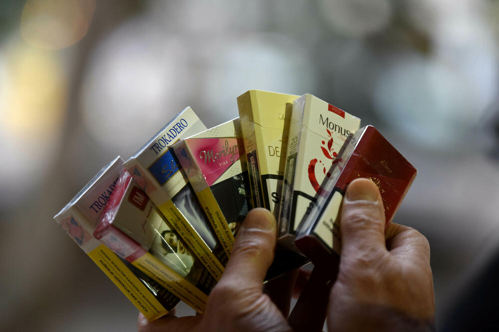 Državu oštetili za više od 30 miliona, Foto: BORIS PEJOVIC