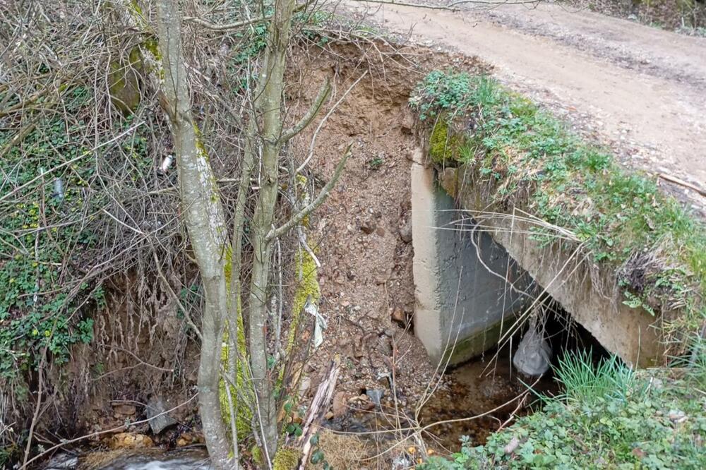 Foto: Privatna arhiva