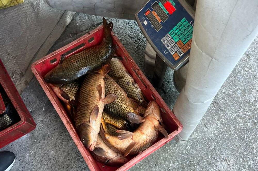 Foto: Nacionalni parkovi Crne Gore