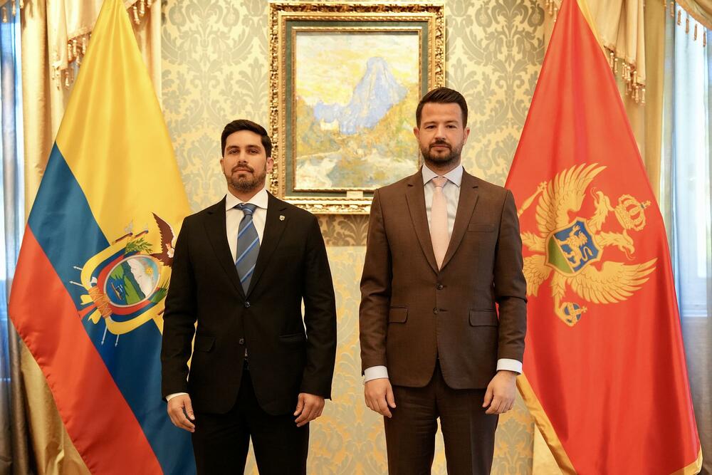 Milatović i ambasadori