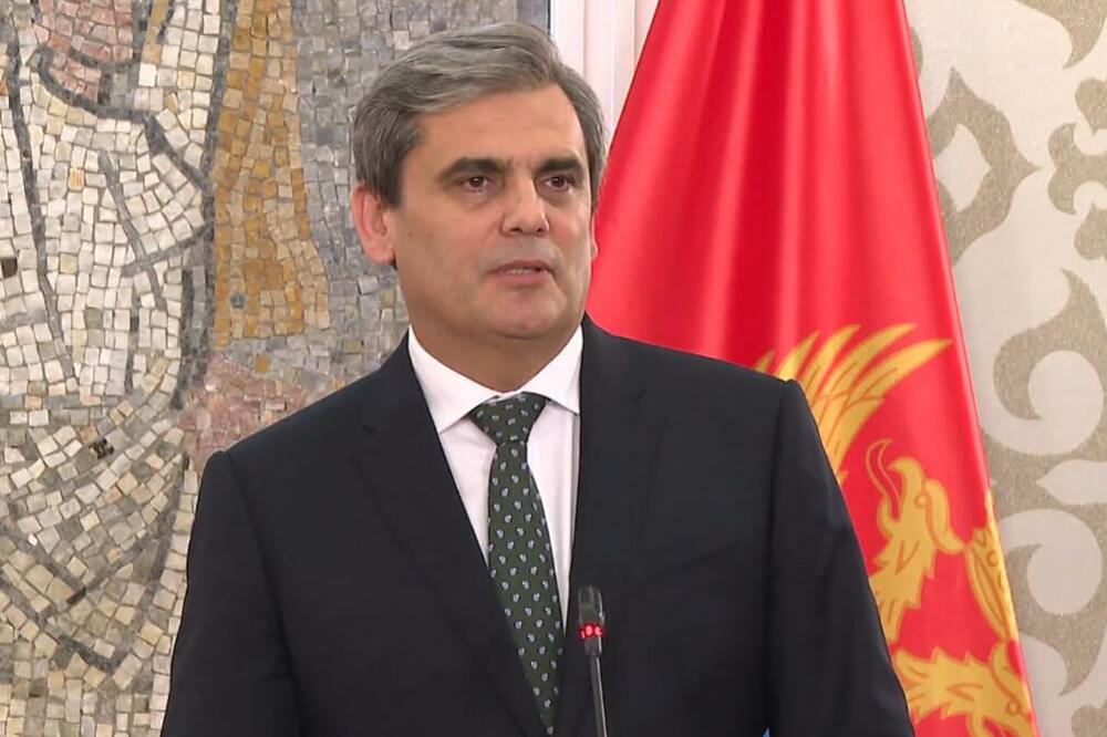 Ibrahimović, Foto: Screenshot/TV Vijesti